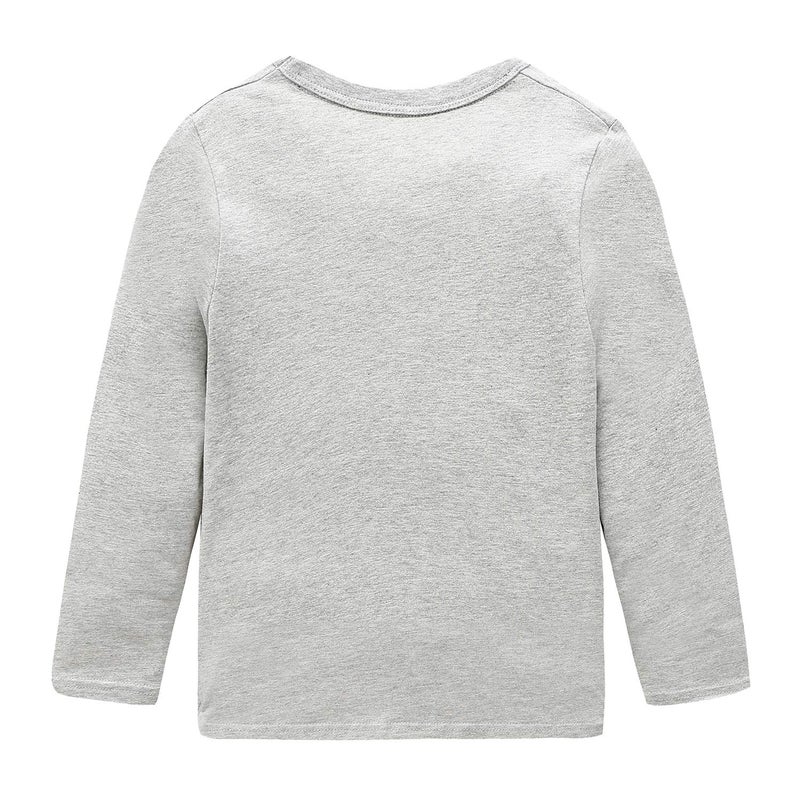 HowJoJo Boys Dinosaur Shirts Kids Cotton Long Sleeve T Shirts Graphic Crewneck Tees Gray Size 7/6-7 - Image 2